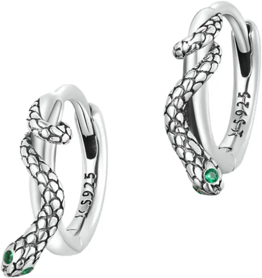 Boucles d'oreille argentées de la CZ du cercle 925, femmes de Sterling Silver Hoop Earrings For